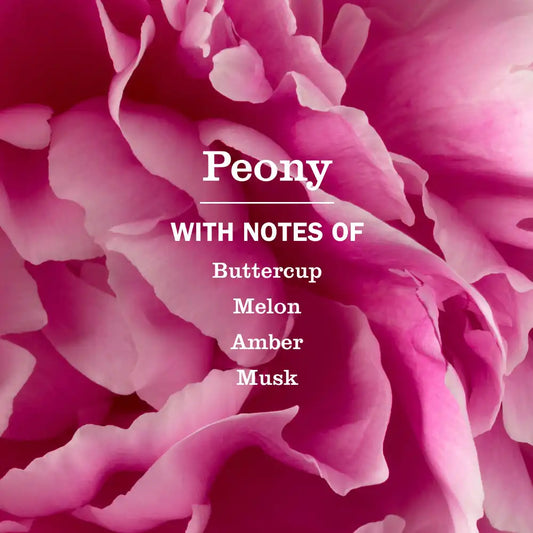 Peony Liquid Hand Soap & Refill Set